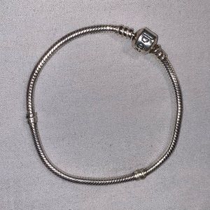 Pandora Charm Bracelet